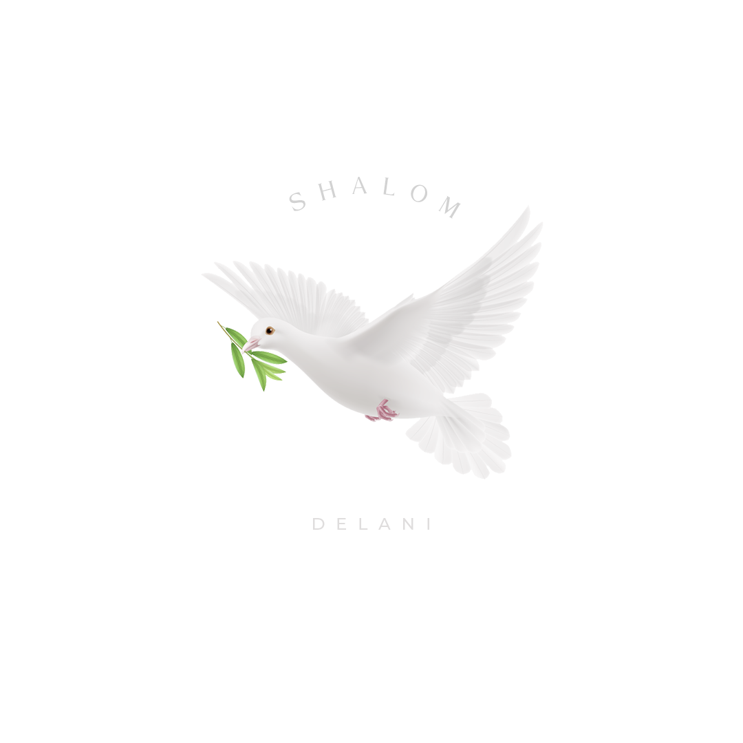 Shalom Single Cover